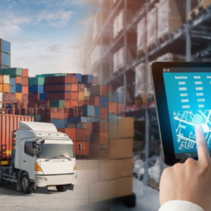 Professional Supply Chain Analyst