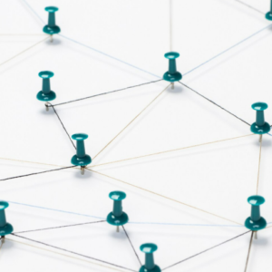 Corporate Governance and Business Leadership